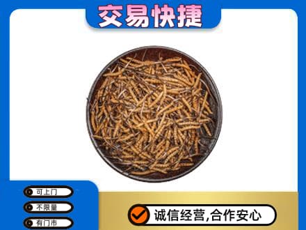 凉山金阳县礼品回收虫草.jpg